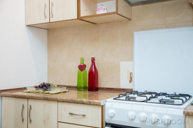 Apartment Kostyushka Lviv Ngoại thất bức ảnh
